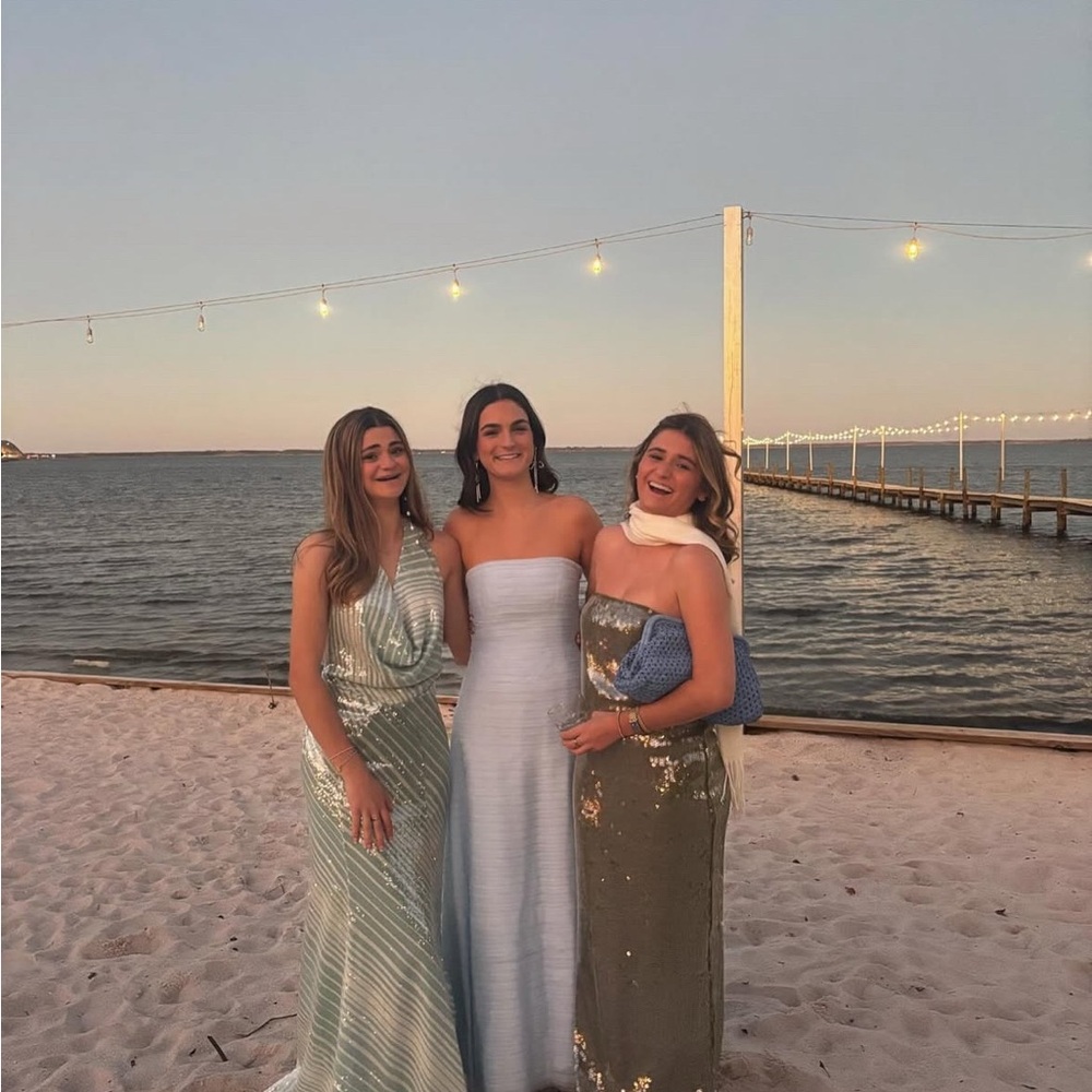 STAUD Shimmering Silver maxi dress - Picture 4 of 9